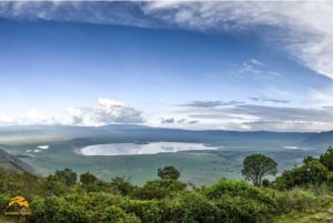 Tanzania: safari de 5 días a Tarangire, Ngorongoro y Manyara