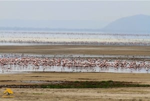 Tanzania: safari de 5 días a Tarangire, Ngorongoro y Manyara