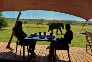 Tanzania: 5-dagers luksussafari i Serengeti og Ngorongoro-krateret