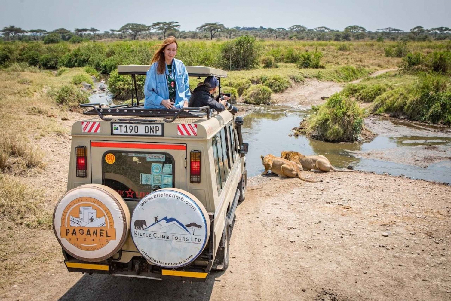 Tanzania: 5 Days Safari- Tarangire| Serengeti| Ngorongoro