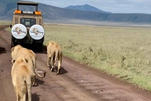 Tanzanie : 7 jours de safari de luxe avec vol en montgolfière