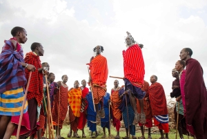 Tansania: 7 päivän luksussafari