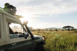 Tansania: 7 päivän luksussafari