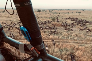 Tansania: 7 päivän luksussafari