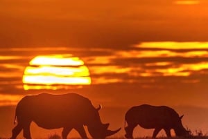Tanzania: 7-Day Midrange Safari to Tarangire and Serengeti