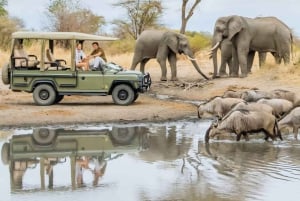 Tanzania: 7-Day Midrange Safari to Tarangire and Serengeti