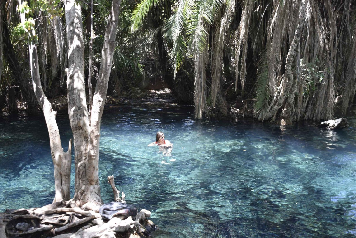 Tanzania: 8 giorni in auto tra Kilimangiaro, Lushoto e altro