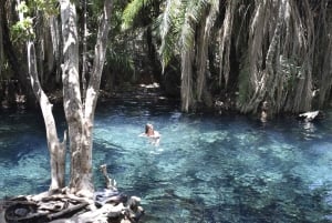 Tanzania: 8-Day Road Trip to Kilimanjaro, Lushoto & More