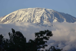 Tanzania: 8-Day Road Trip to Kilimanjaro, Lushoto & More