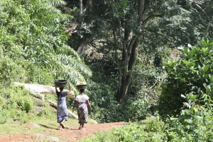 Tanzania: 8-Day Road Trip to Kilimanjaro, Lushoto & More