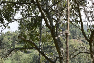 Tanzania: 8-Day Road Trip to Kilimanjaro, Lushoto & More