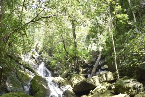 Tanzania: 8-Day Road Trip to Kilimanjaro, Lushoto & More