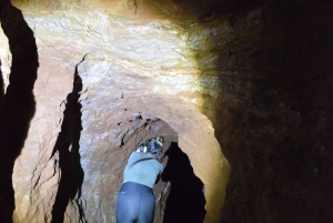 Tanzania: 8-Day Road Trip to Kilimanjaro, Lushoto & More