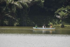 Tanzania: 8-Day Road Trip to Kilimanjaro, Lushoto & More