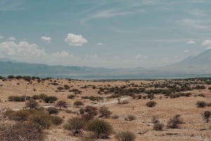 Tanzania: 8-Day Safari and Volcano Trekking Adventure