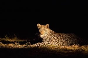 Tanzania Adventure Expert