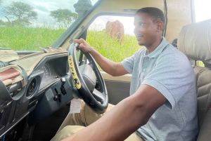 Групповые сафари по лучшим национальным паркам Танзании