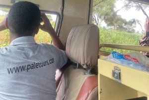 Групповые сафари по лучшим национальным паркам Танзании