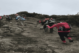 Tanzania: Kilimanjaro 10-daags avontuur met warmwaterbronnen