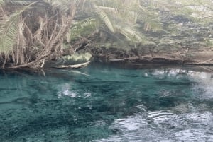 Tanzania: Kilimanjaro 10-daags avontuur met warmwaterbronnen