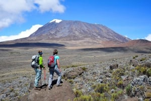 Tansania: Kilimanjaro-kiipeily ja safariseikkailu
