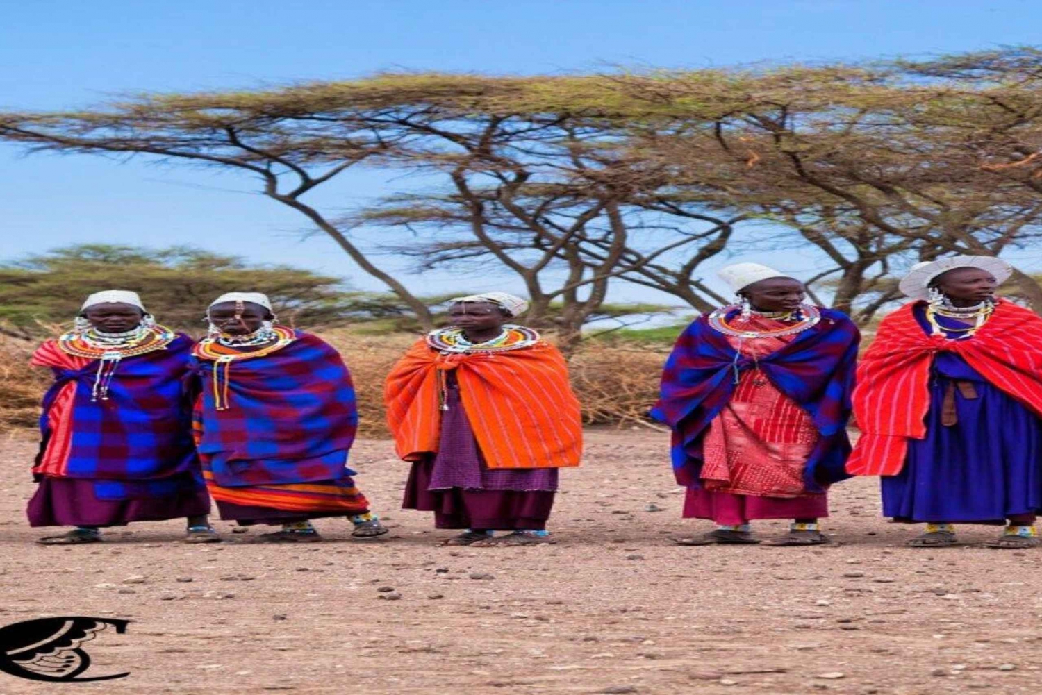 Tanzania: Kulturel tur til Maasai-stammen