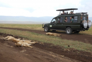 Tanzania: Nyerere National Park Trip Entry Ticket and Safari