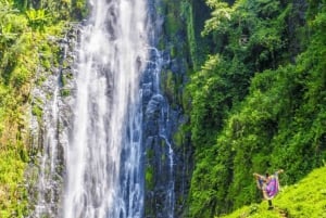 Tanzania: Olpopongi Maasai, Materuni & Coffee 2-Day Tour