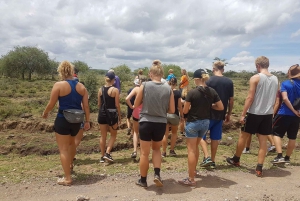 Arusha: tour di 4 giorni del Serengeti con alloggio, safari e pasti