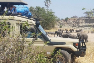 Arusha: tour di 4 giorni del Serengeti con alloggio, safari e pasti