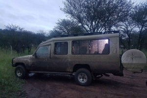 Arusha: tour di 4 giorni del Serengeti con alloggio, safari e pasti
