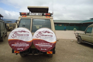 Tanzania: Private Group Serengeti Safari