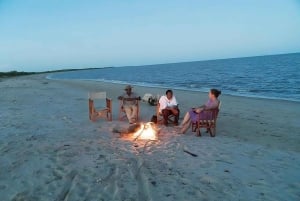 Tanzania: escursione con safari e spiaggia nel Parco Nazionale di Saadani