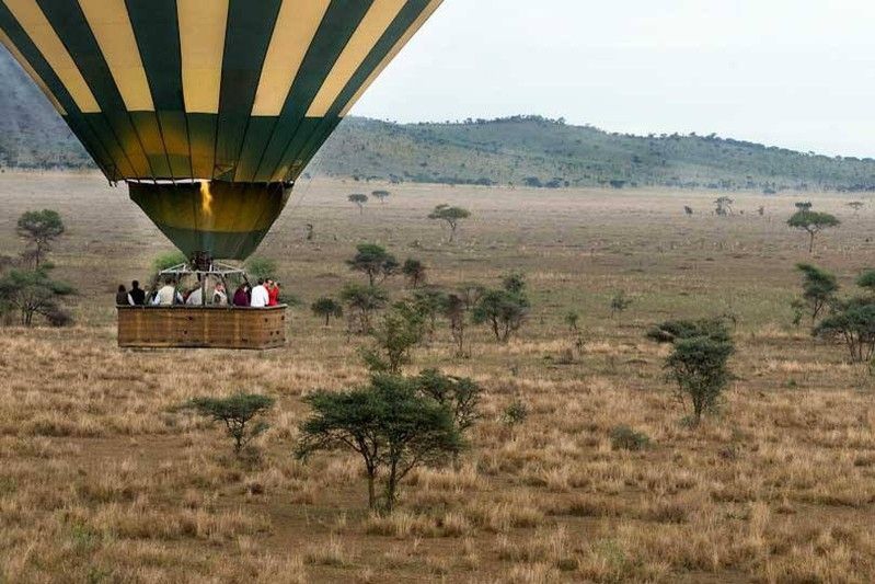 Tanzania Safaris Packages Services