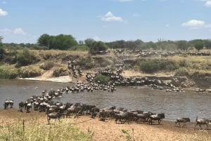 Tanzania: Serengeti, Ngorongoro, Tarangire, and Manyara …