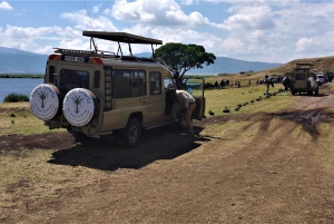 Vild safari i Tanzania: 2 dage i Tarangire og Ngorongoro-krateret