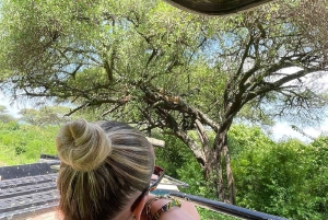 Vild safari i Tanzania: 2 dage i Tarangire og Ngorongoro-krateret