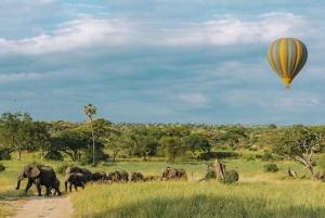 Tarangire: Ballongsafari och frukost i bushen