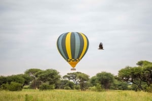 Тарангире: сафари на воздушном шаре и завтрак в лесу