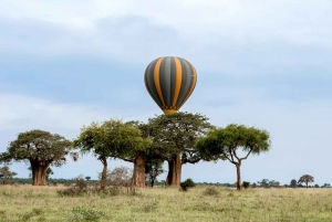 Тарангире: сафари на воздушном шаре и завтрак в лесу