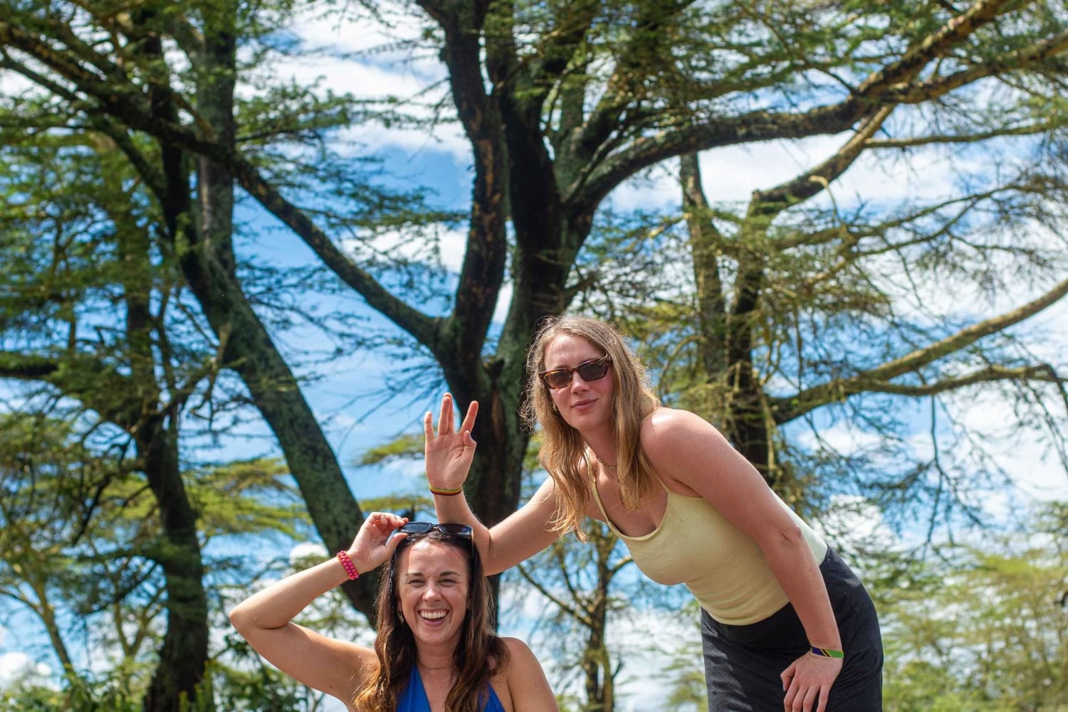 Safári de um dia em Tarangire: experiência privada num Suzuki Vitara 4x4