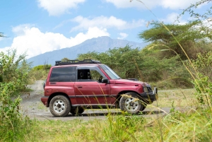 Safári de um dia em Tarangire: experiência privada num Suzuki Vitara 4x4