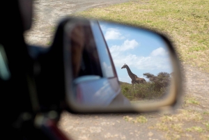 Safári de um dia em Tarangire: experiência privada num Suzuki Vitara 4x4