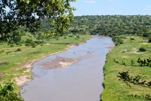 Tarangire National Park, Lake Manyara, & Ngorongoro Crater