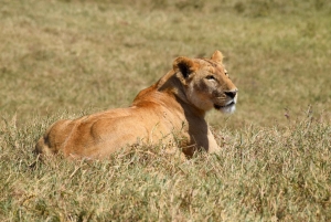 Tarangire nasjonalpark og Eyasi-sjøen (Datoga- og Hadzabe-landsbyene)