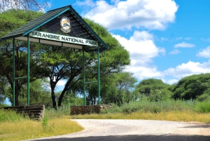 Tarangire nasjonalpark og Eyasi-sjøen (Datoga- og Hadzabe-landsbyene)