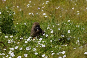 Tarangire nasjonalpark og Eyasi-sjøen (Datoga- og Hadzabe-landsbyene)
