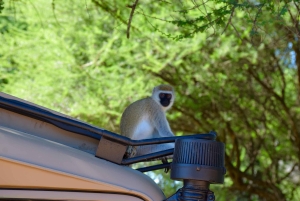 Tarangire nasjonalpark og Eyasi-sjøen (Datoga- og Hadzabe-landsbyene)
