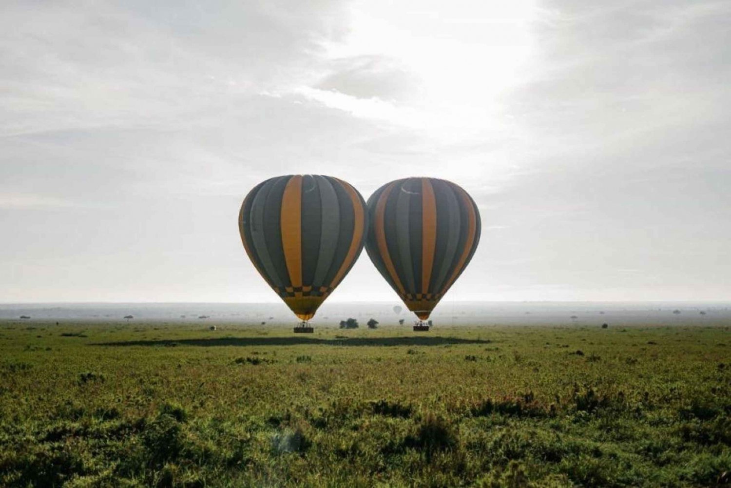 Tarangire, Serengeti, Ngorongoro:4Days Africa Classic Safari