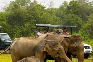 Tarangire: Dagsafari i Tarangire National Park med vilde dyr